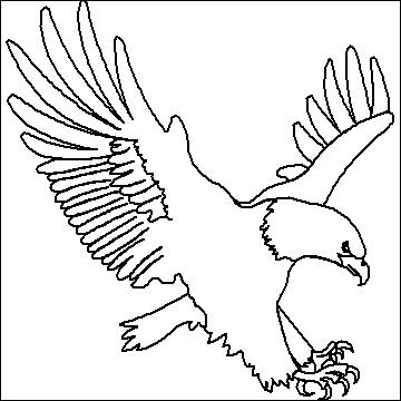 (image for) Eagle-L00362
